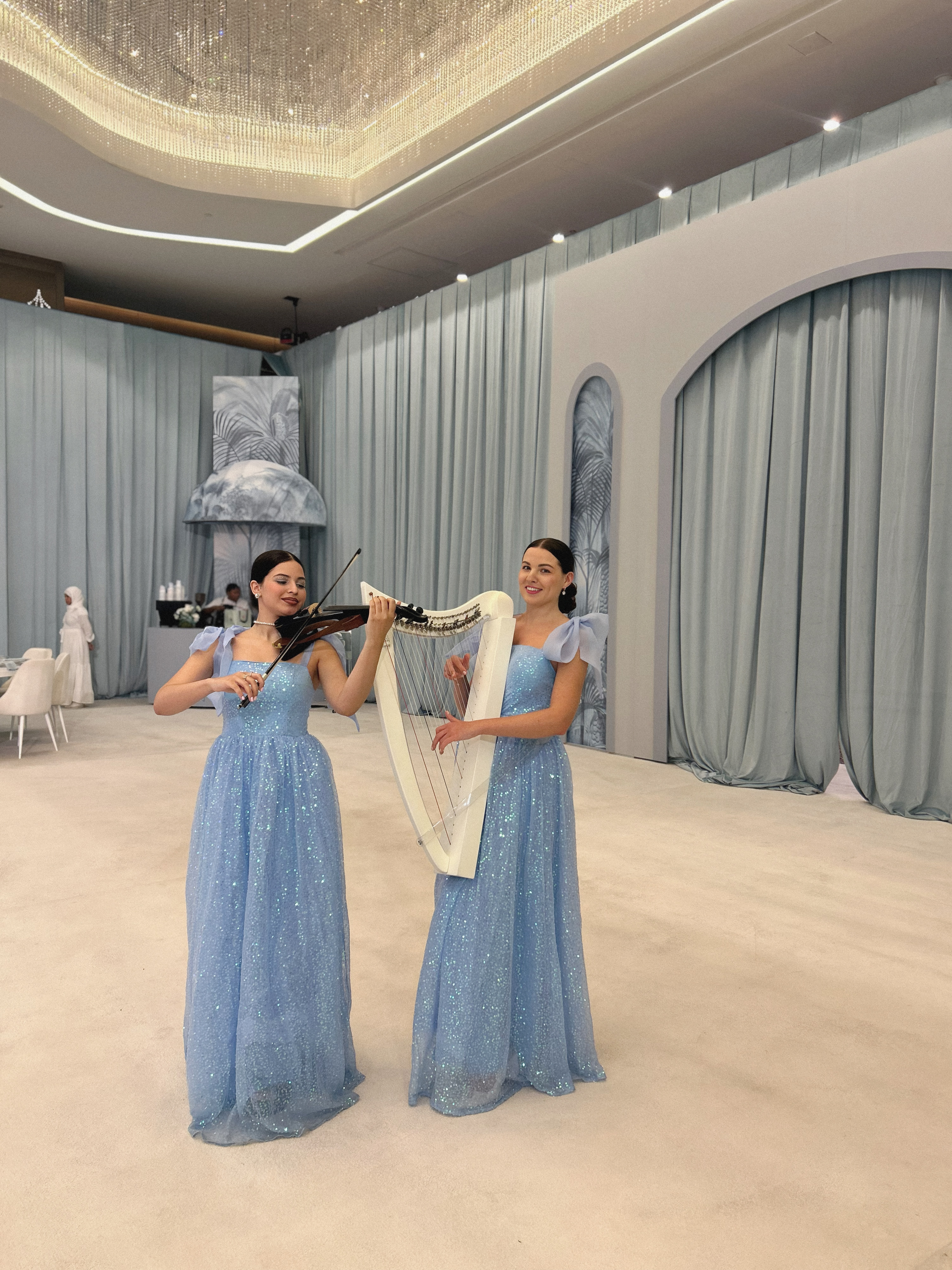 Violin + Harp Duo