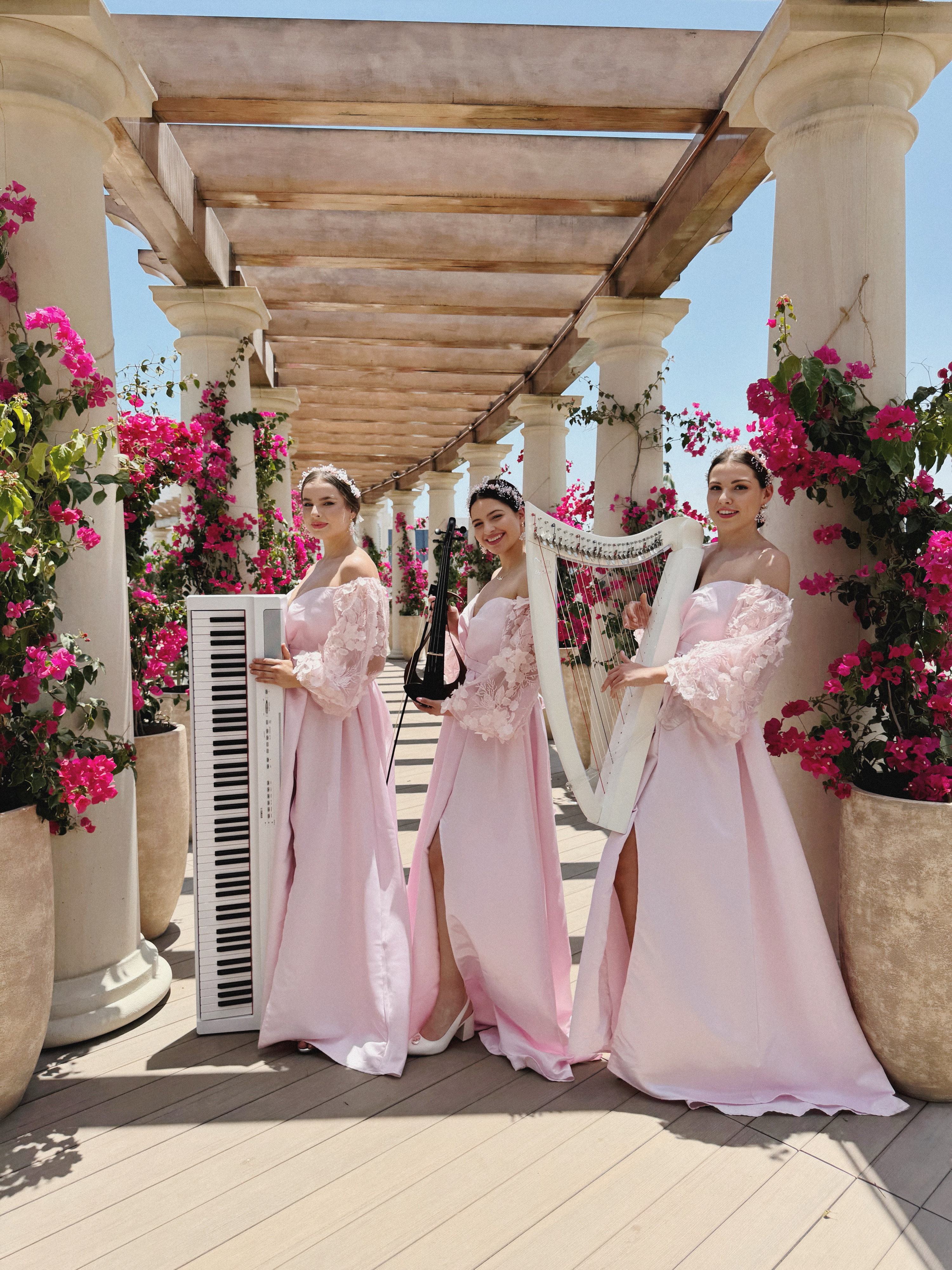 Violin + Harp & Piano Trio